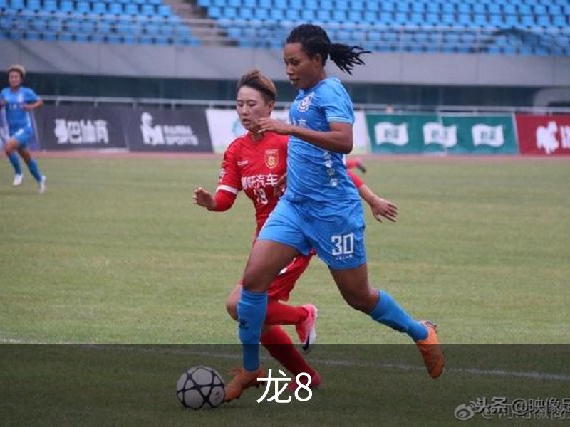 龙8简介